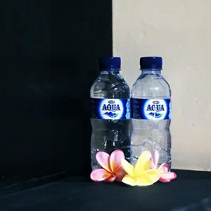 https://ulu-bali-homestay.ubudhotelsnow.com